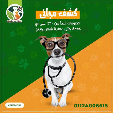 Veterinarian Medical Service